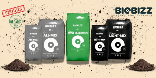 Why High-Quality Potting Soil is a Game-Changer for Your Plants ?