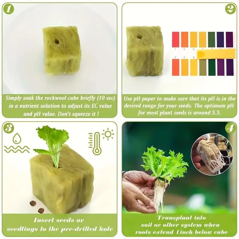 Rockwool Seeding ...