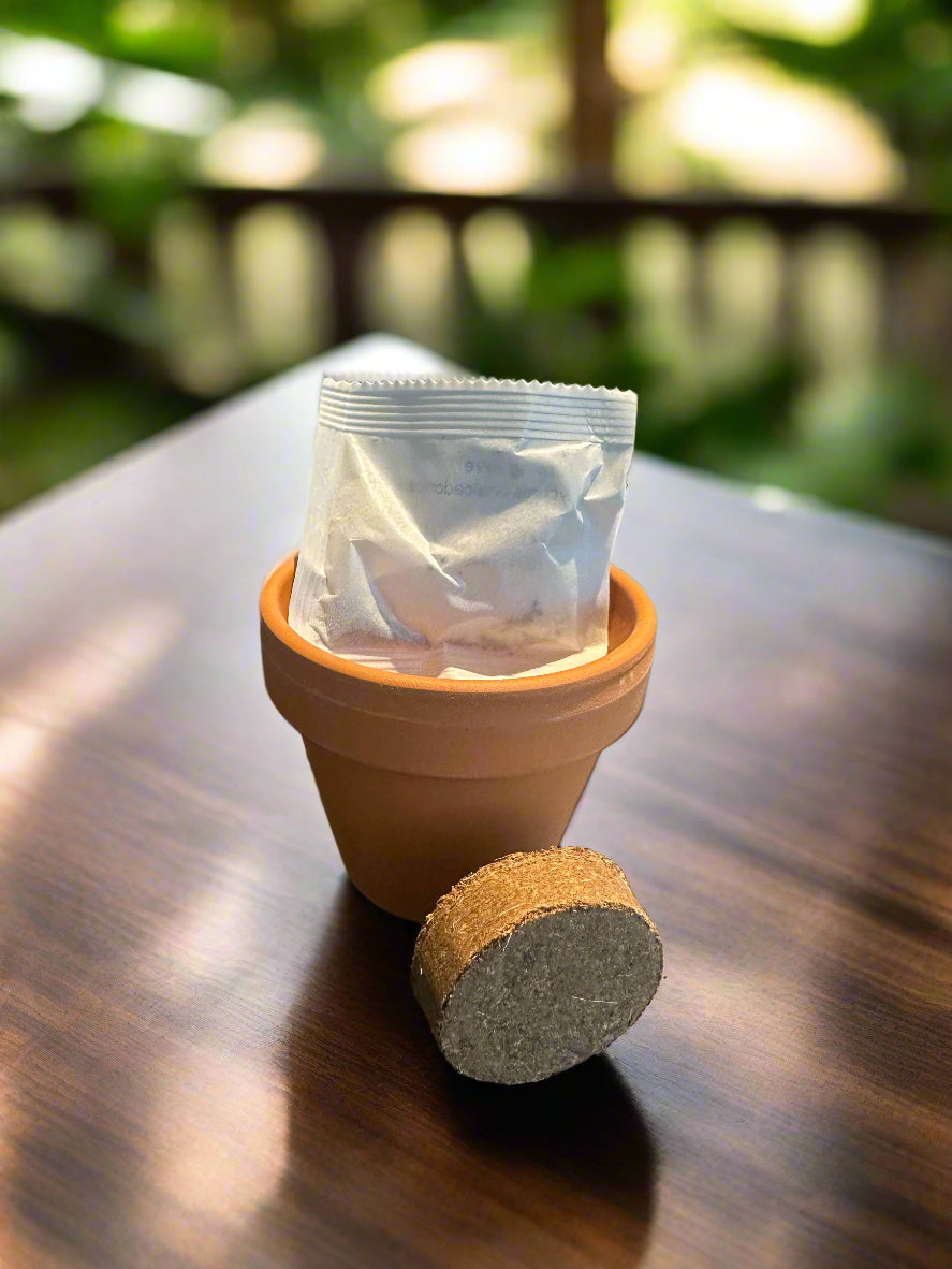Flower Growing Seeds Kit - مجموعة بذور زراعة الزهور