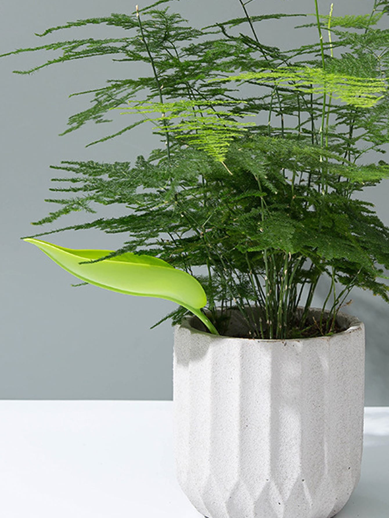 Plant Watering Funnel for Indoor Plants