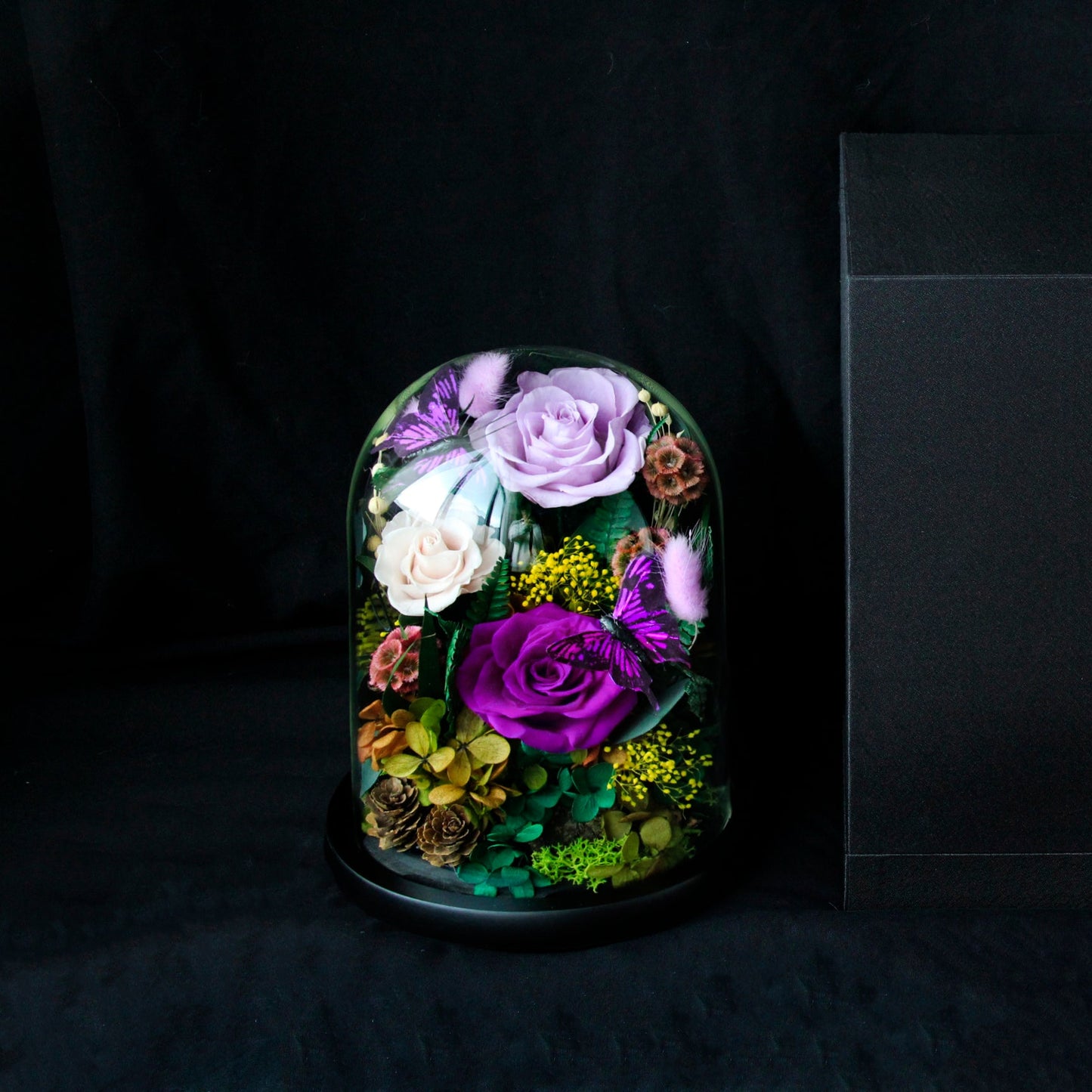 Purple Mix Rose Garden in a Dome - الوردة الخالدة