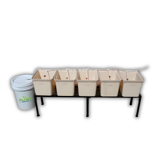 Five Dutch Bucket Hydroponic Plant Growing System | نظام زراعة النباتات المائية