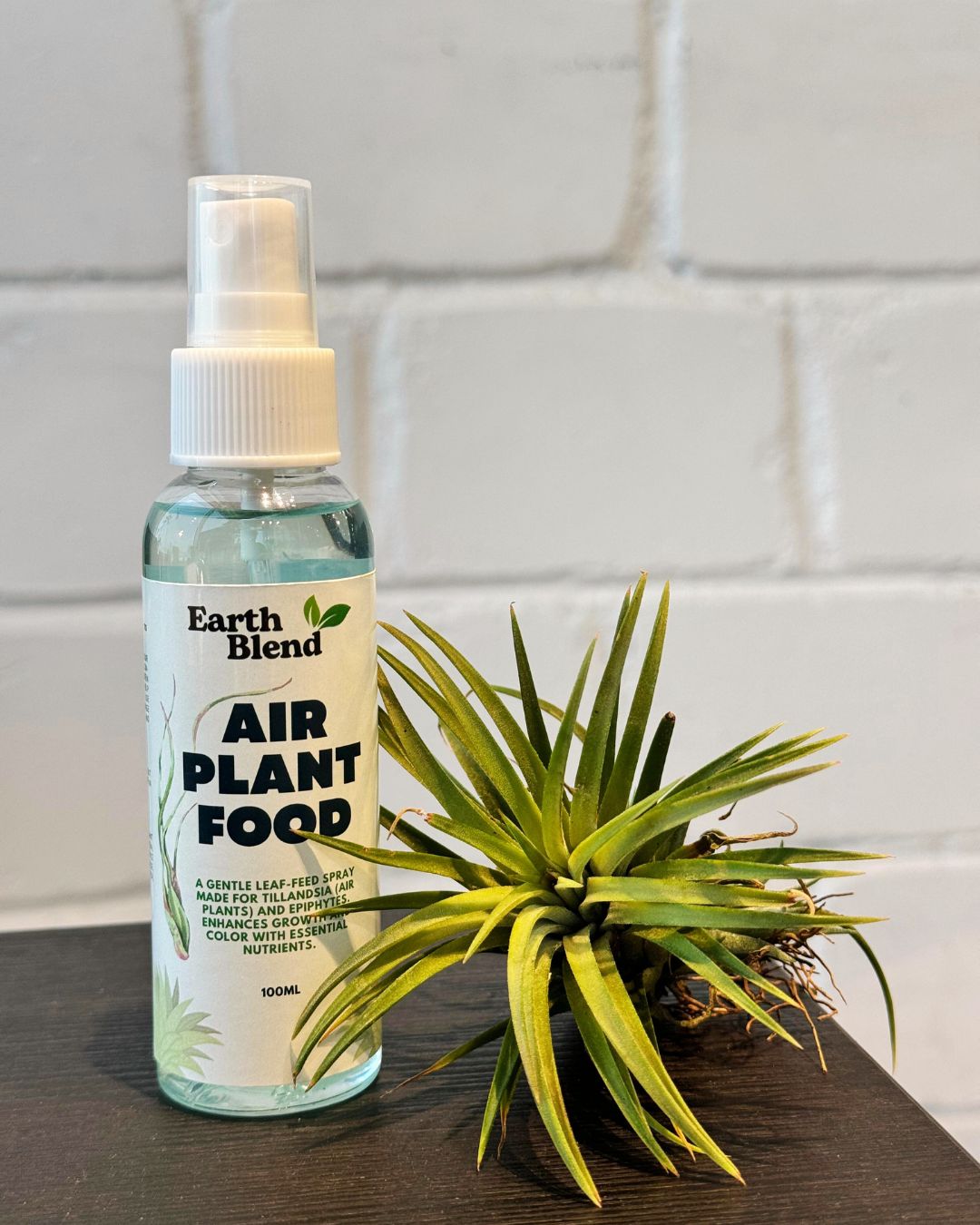 Air Plant Food 100ml - سماد خاص للنبتات الهوائية