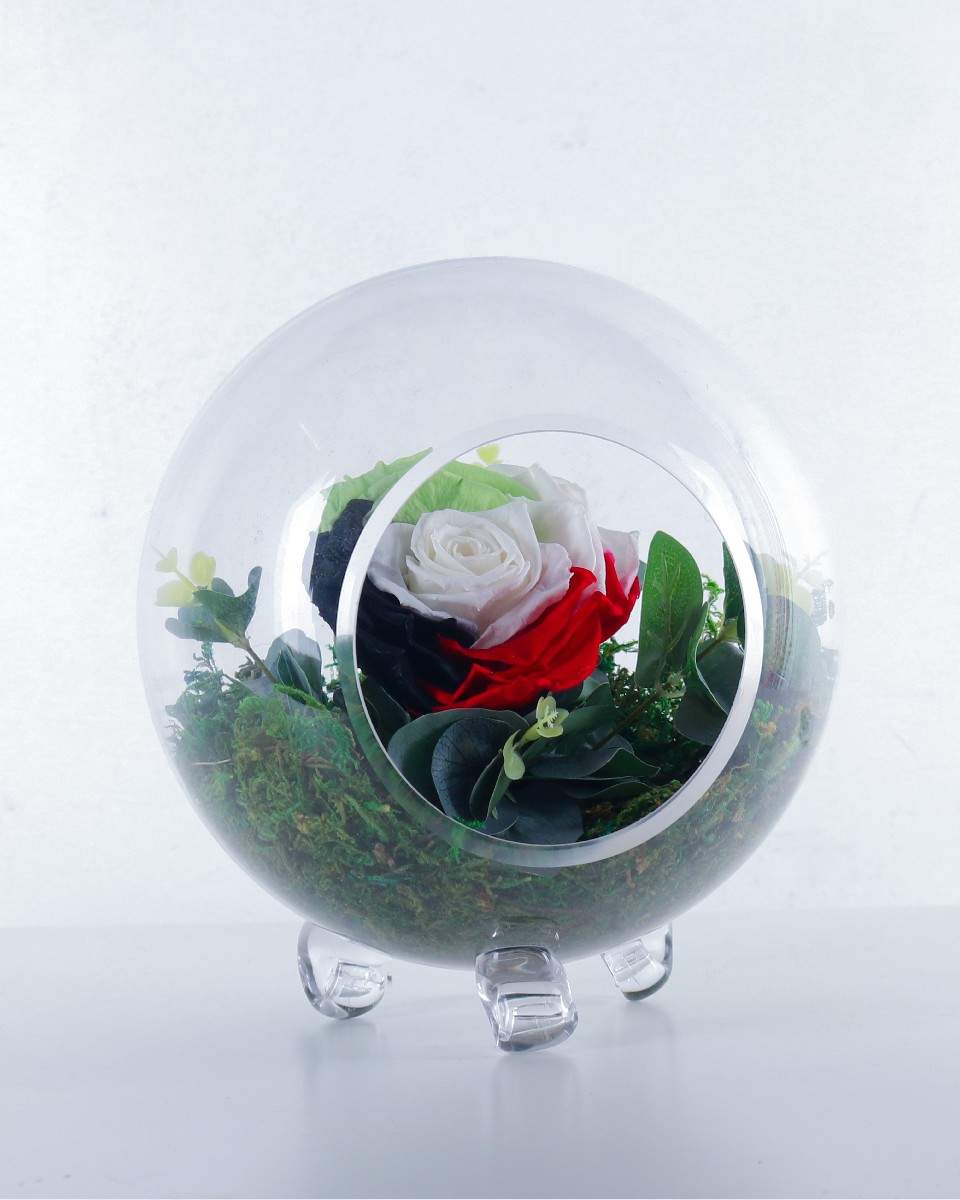 Kuwait Preserved Rose Arrangement - Gift