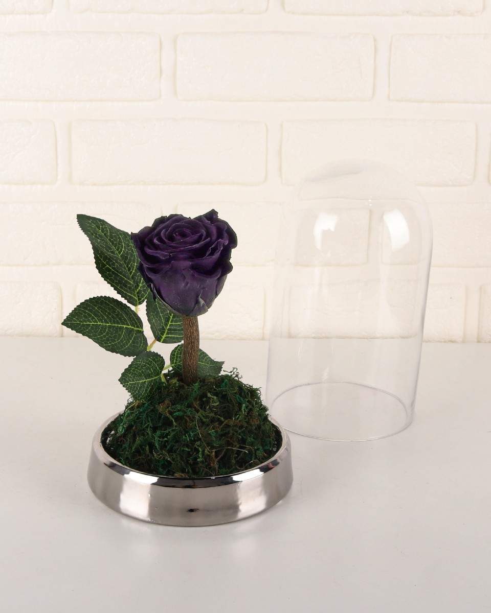 Preserved Rose Arrangement Small - Mona Lisa Violet