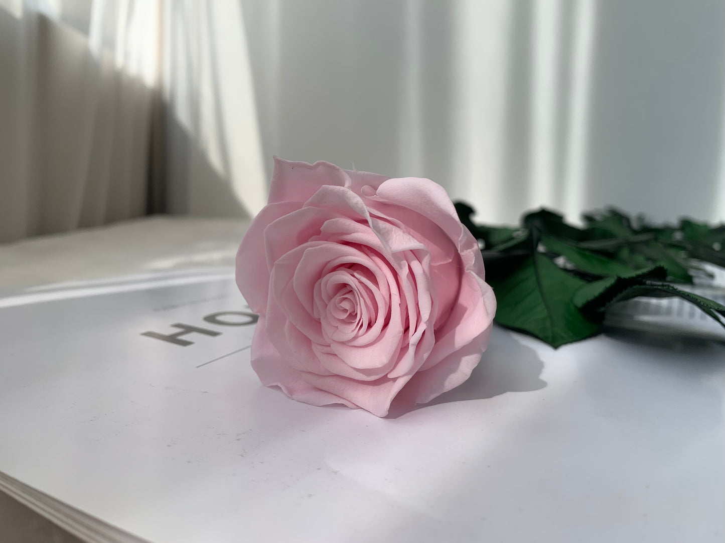 Eternal Rose Stem - الوردة الخالدة