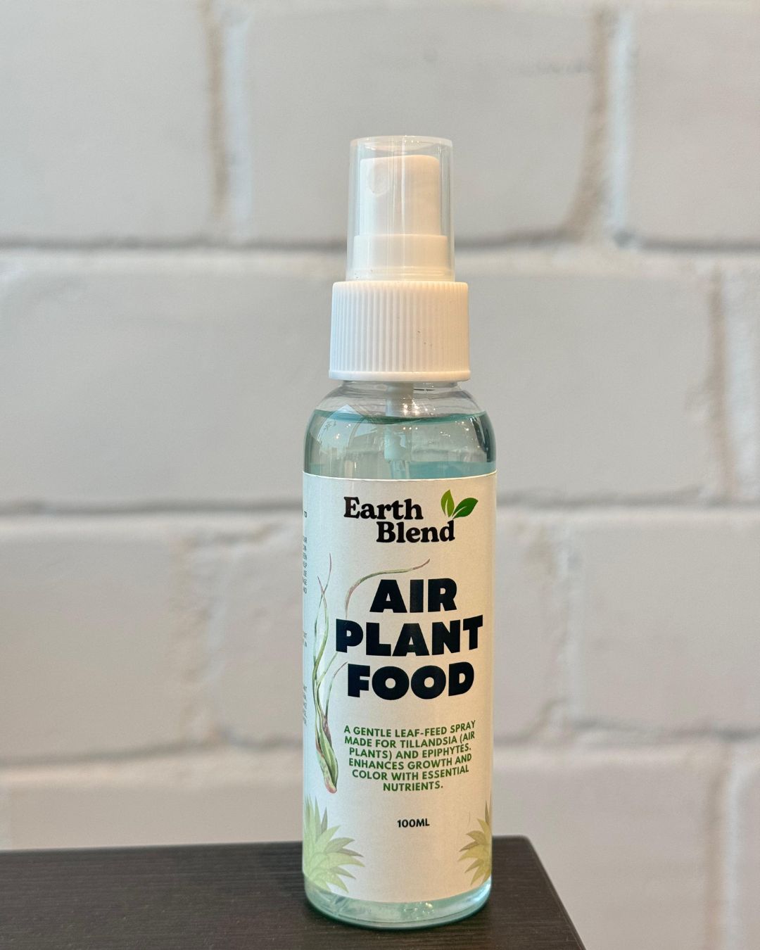 Air Plant Food 100ml - سماد خاص للنبتات الهوائية