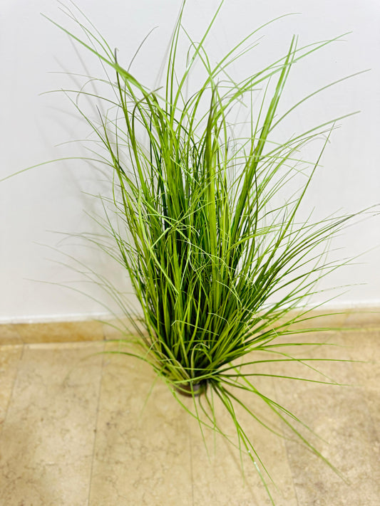 Artificial Cat Grass Plant