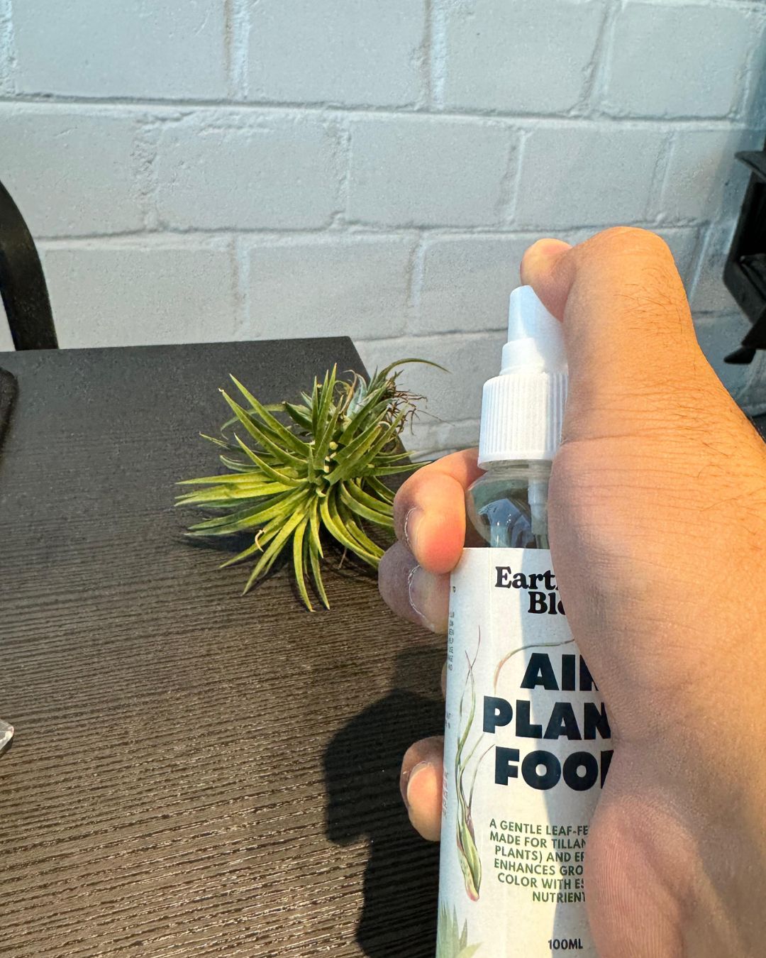 Air Plant Food 100ml - سماد خاص للنبتات الهوائية