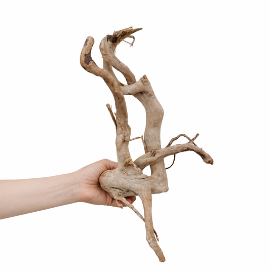 Premium Decorative Driftwood Piece - خشب طبيعي ديكوري