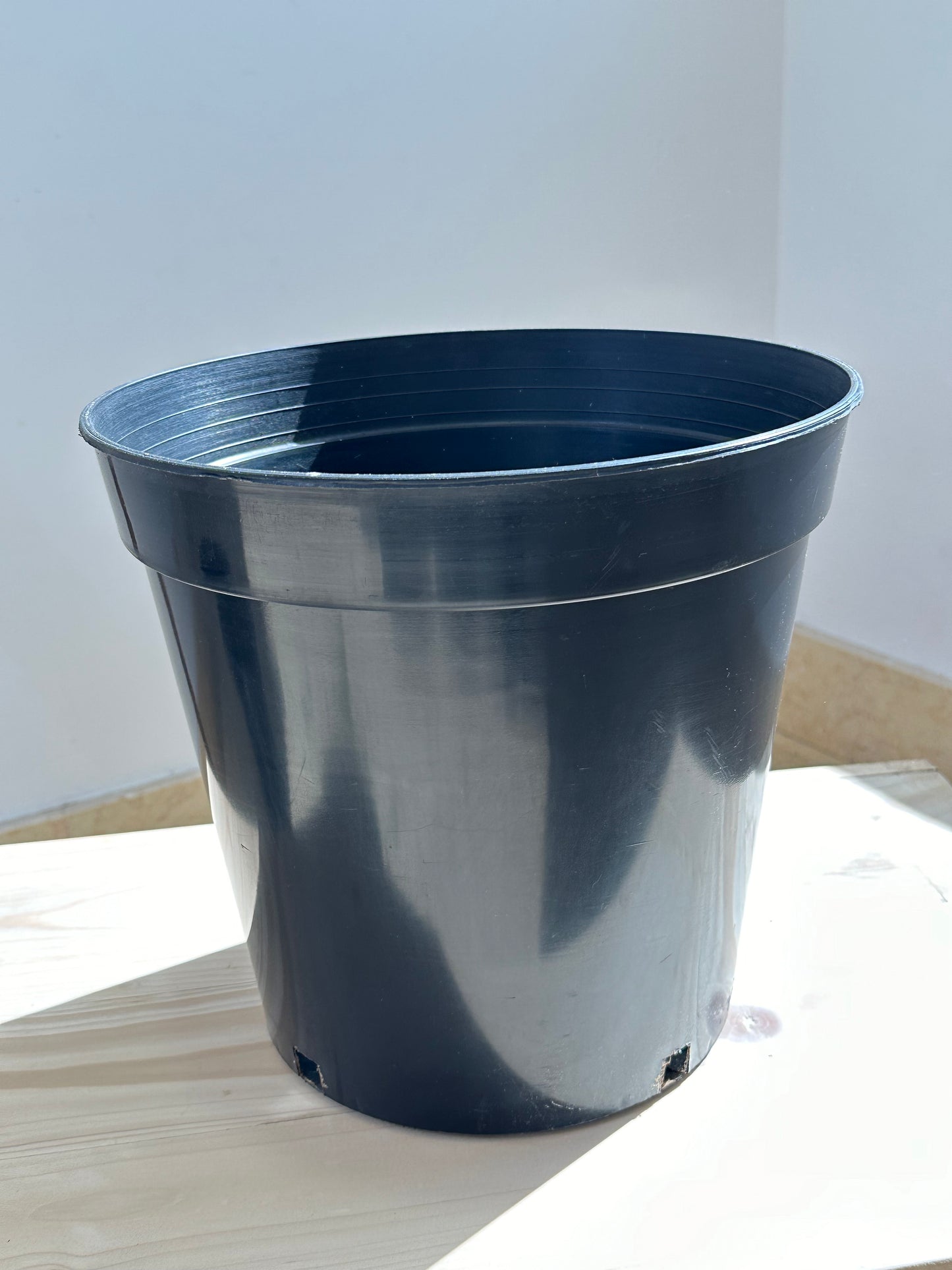 Round Black Plastic Pot - Indoor & Outdoor use