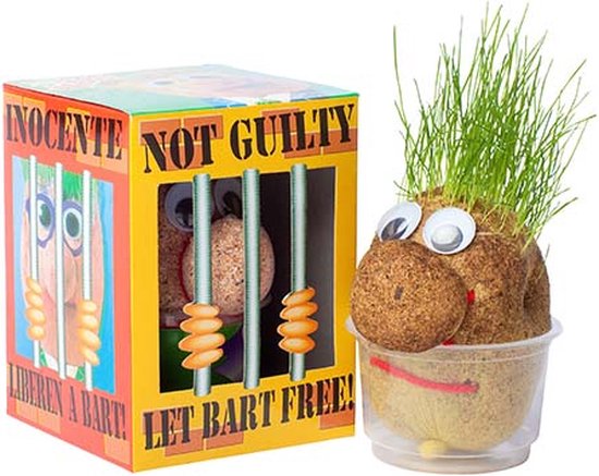 Grow Kit - Mr Bart Grass Head