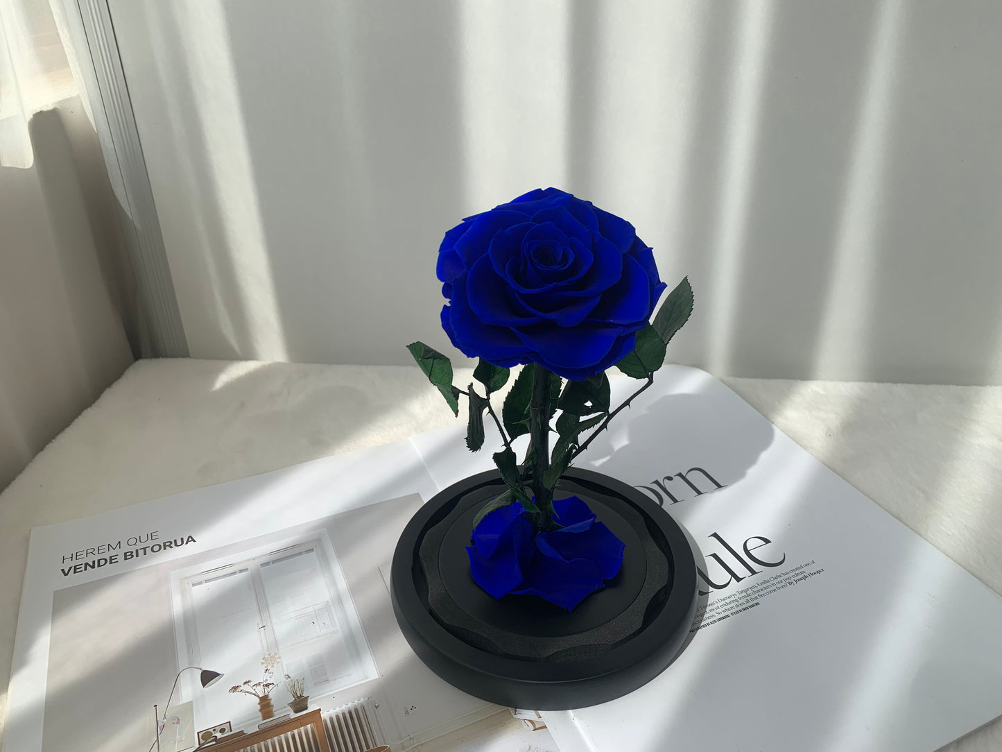 Forever Rose Dome 12cm x 20cm - الوردة الخالدة