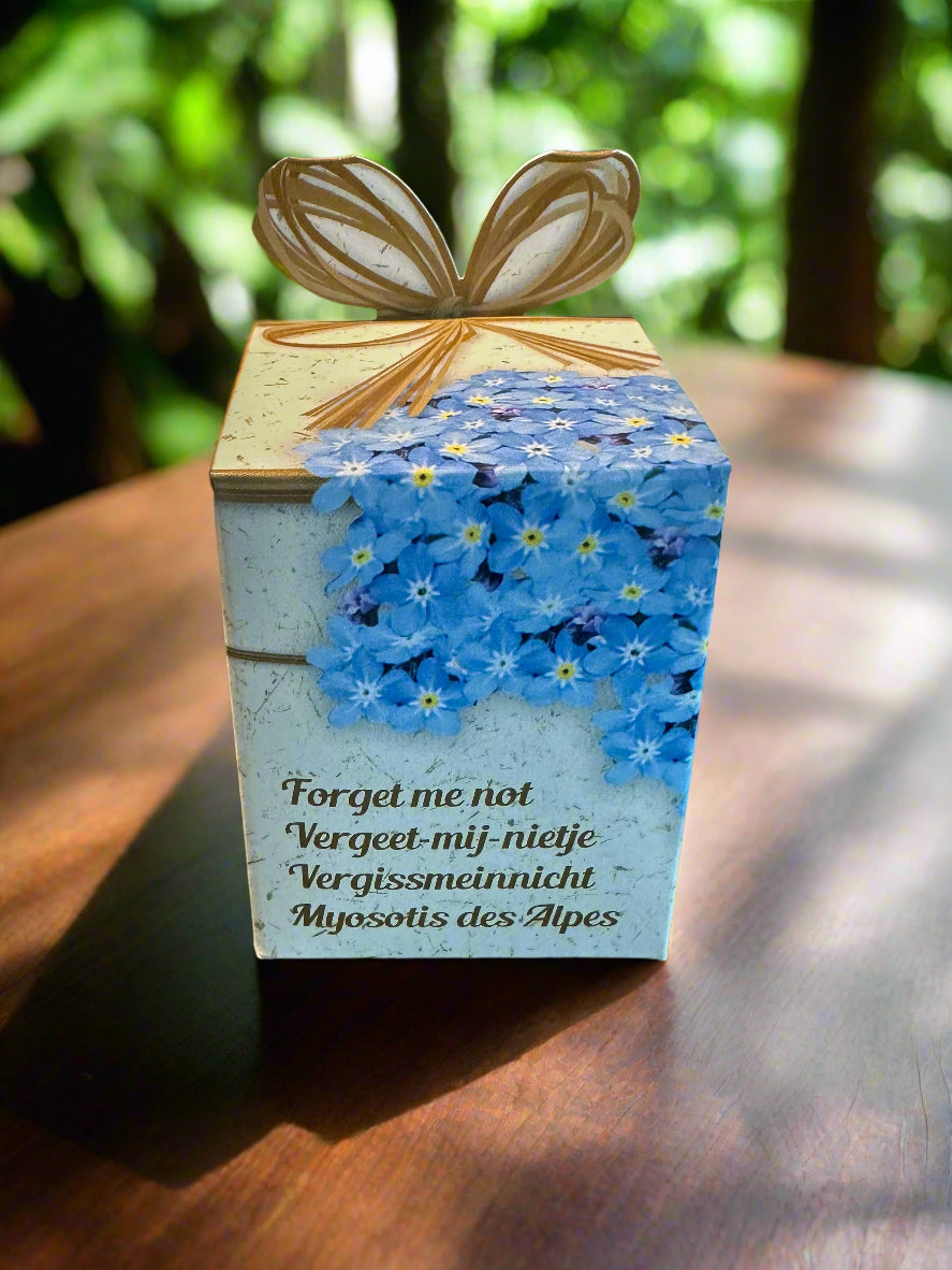 Flower Growing Seeds Kit - مجموعة بذور زراعة الزهور