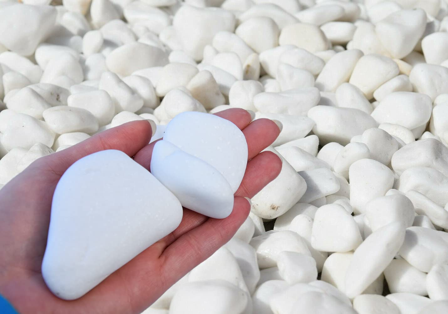 Bags of white garden stones on sale