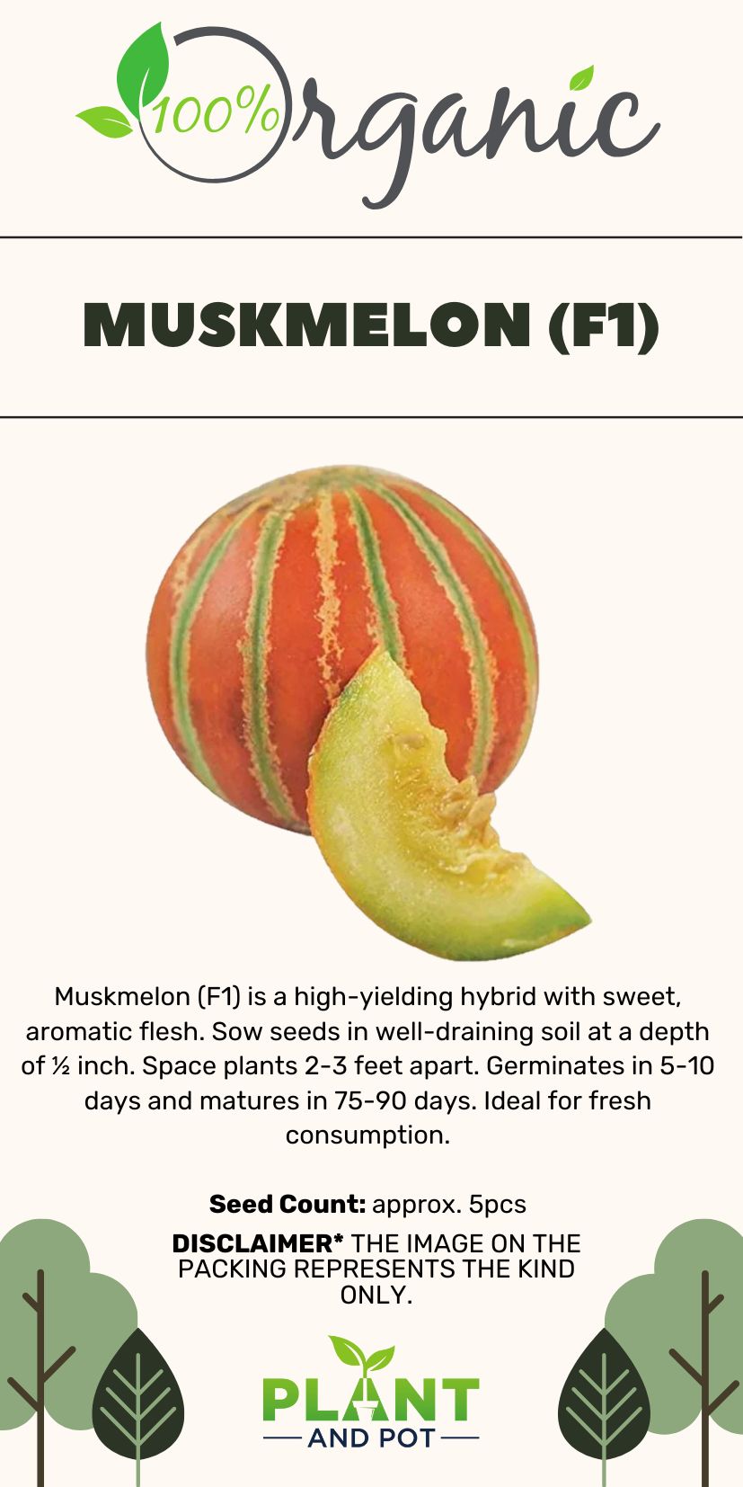 Muskmelon F1 Seeds - بذور الشمام F1