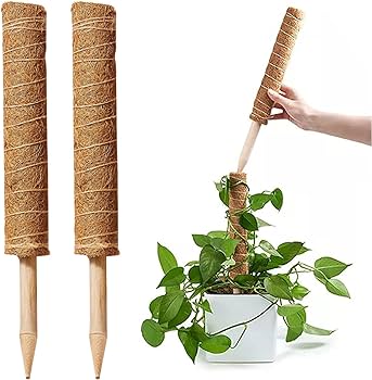 Coir Moss Pole - Plant Support Stick