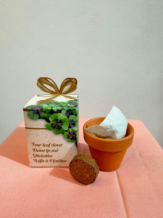 Flower Grow Kit | طقم زراعة الزهور