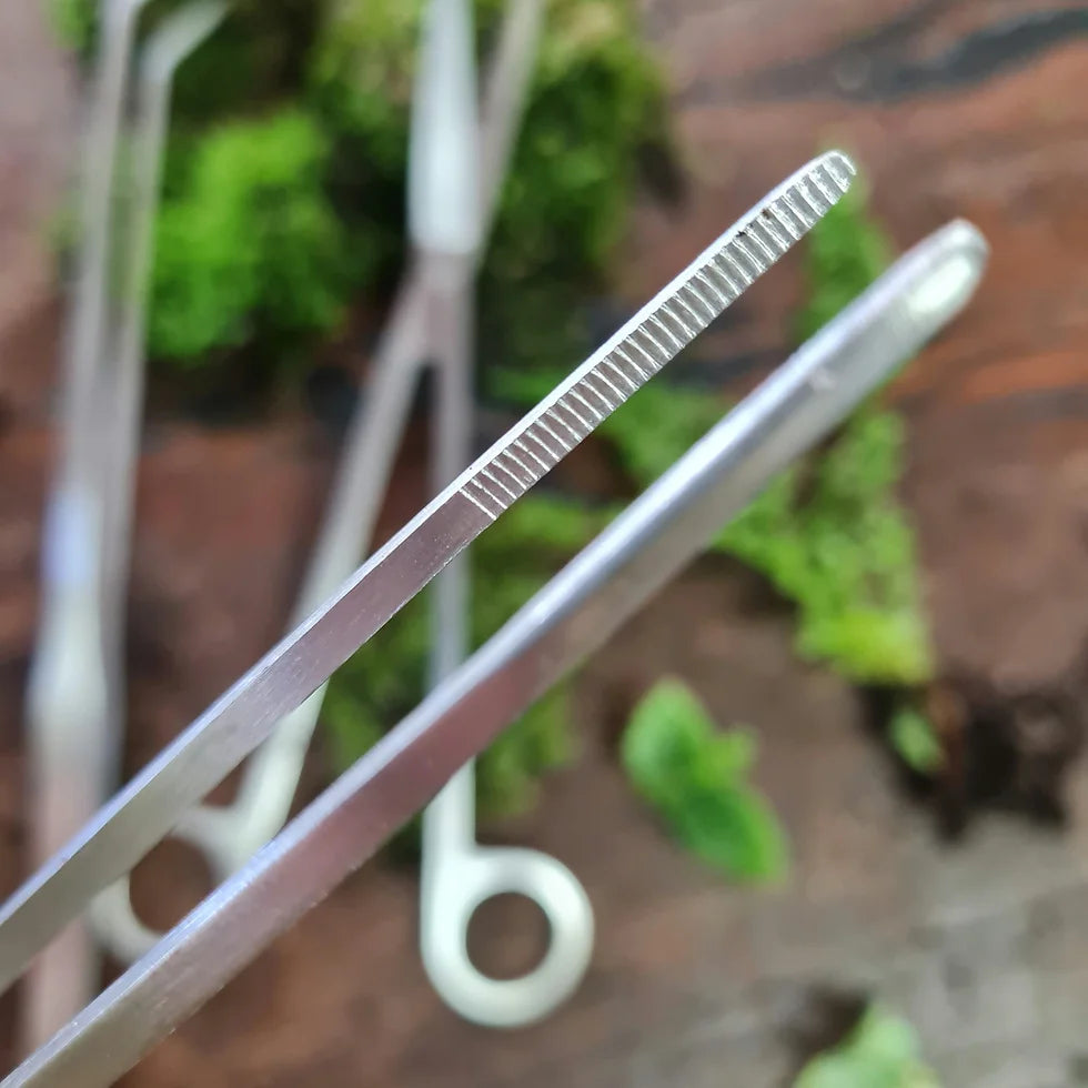 Stainless Steel T...