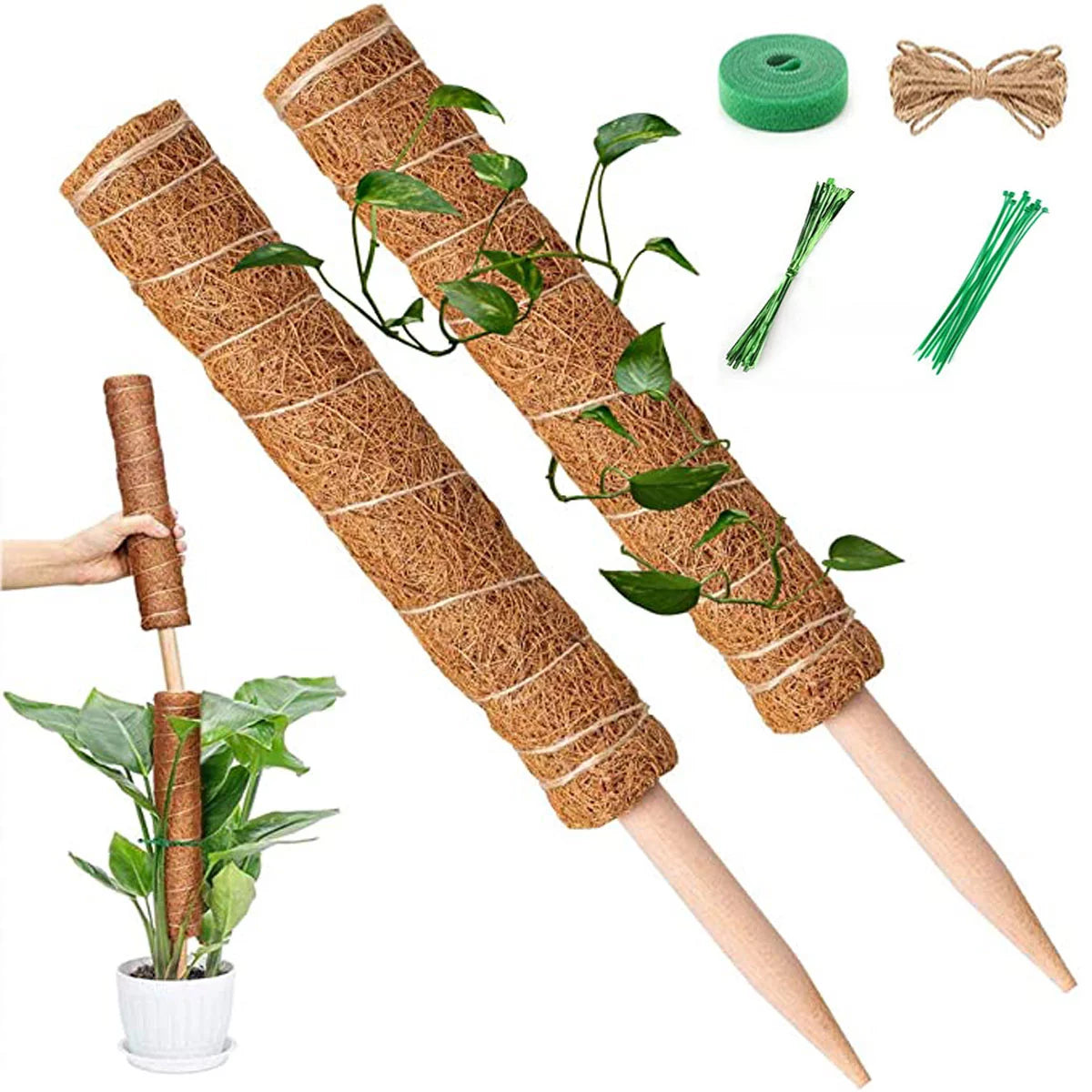 Coir Moss Pole - Plant Support Stick