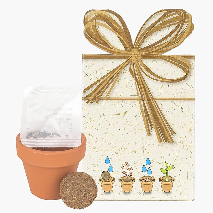 Flower Grow Kit | طقم زراعة الزهور