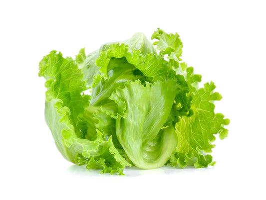 Iceberg Lettuce Seeds - Organic Garden Seeds - بذور خس الآيسبرغ