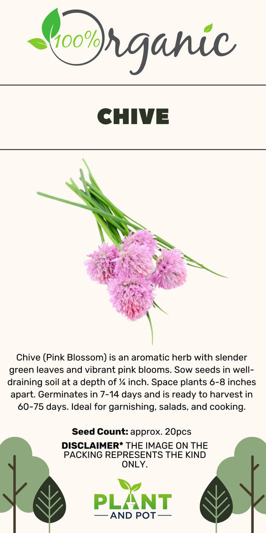 https://plantnpot.com › products › chive-seeds-بذور-الثوم-المعمر