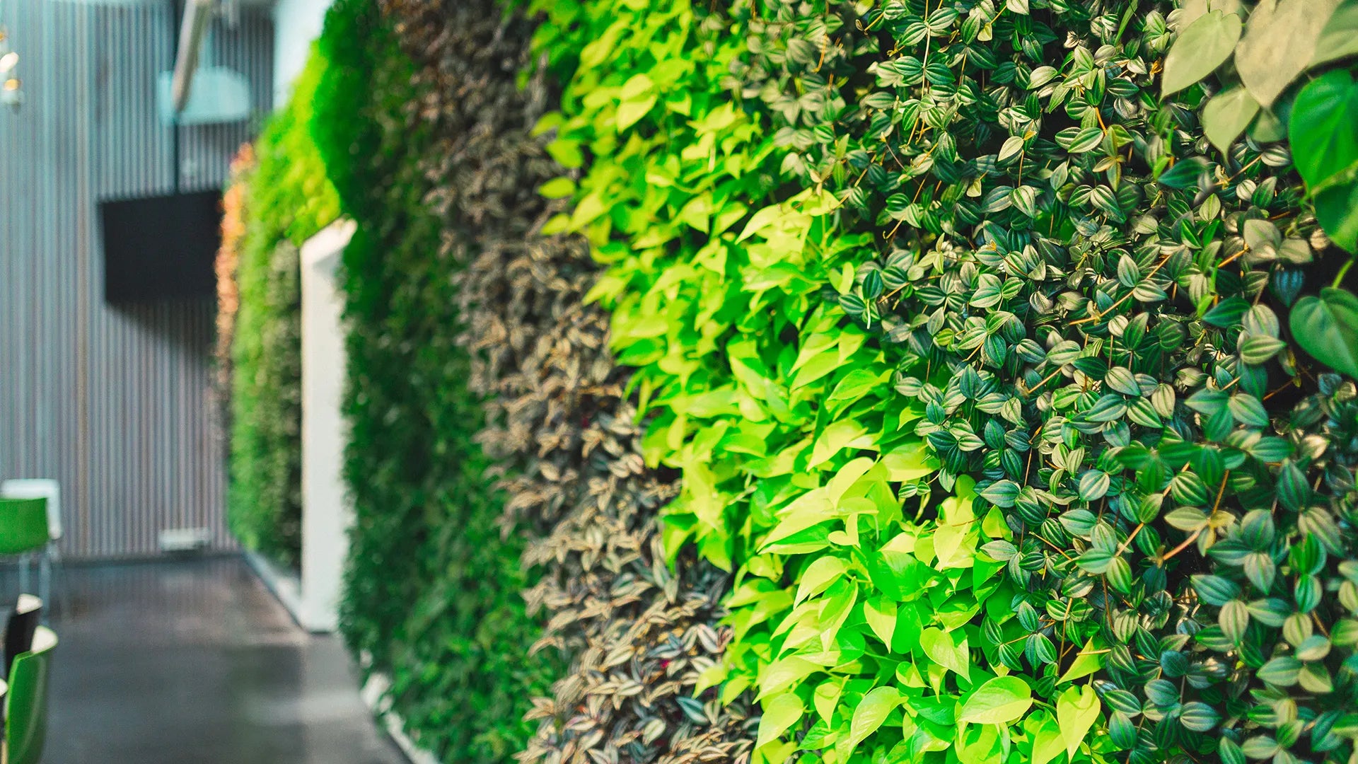 Vertical Green wall