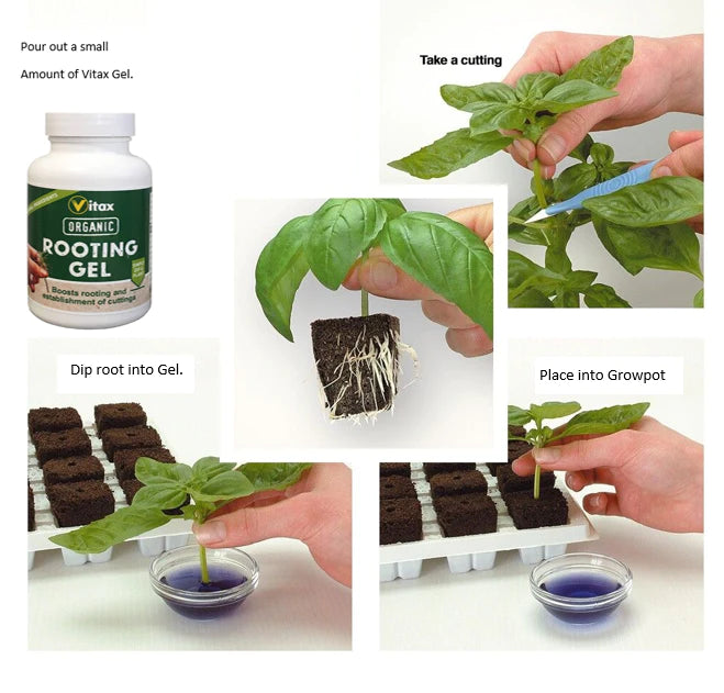 Organic Rooting Gel for Plants