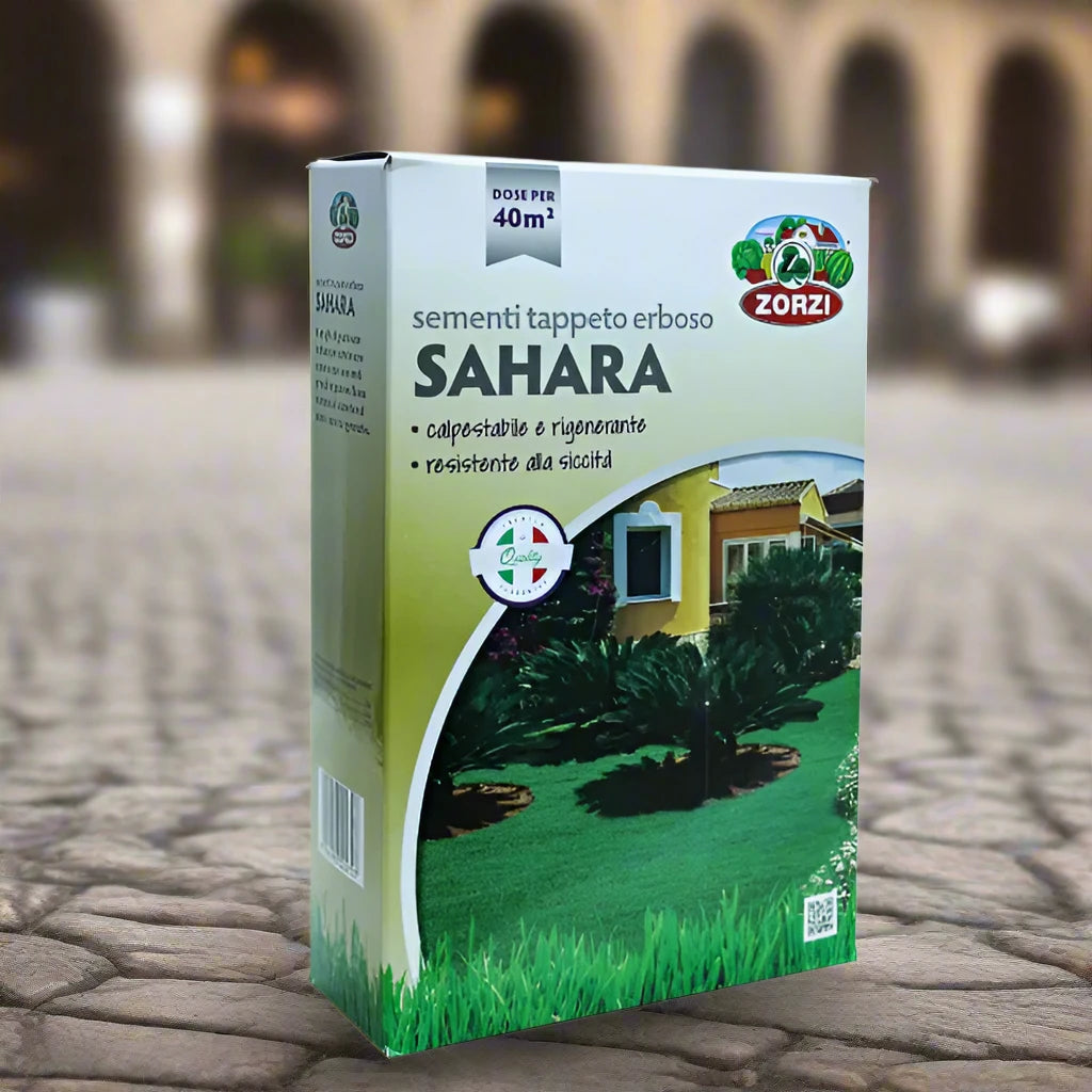 Grass Seeds - Ber...