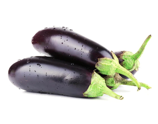 Brinjal Long Seeds - Organic Garden Seeds - بذور الباذنجان الطويل