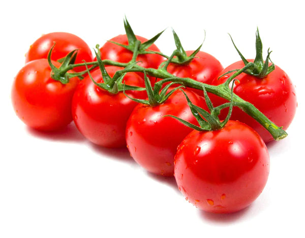 Cherry Tomato Seeds - Organic Garden Seeds - بذور طماطم شيري