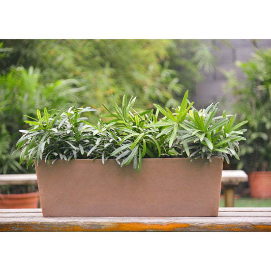 a rectangular flower pot perfect for gardening in Kuwait. Made from durable Jun porcelain clay with polymer resin infusion, it's ideal for showcasing plants indoors or outdoors. Available for order now from our online plant shop in Kuwait, complete with plants and pots for your gardening needs.