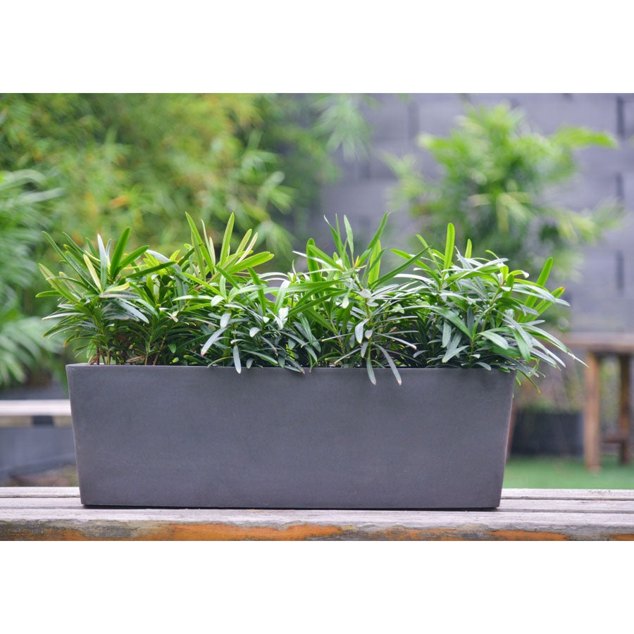 a rectangular flower pot perfect for gardening in Kuwait. Made from durable Jun porcelain clay with polymer resin infusion, it's ideal for showcasing plants indoors or outdoors. Available for order now from our online plant shop in Kuwait, complete with plants and pots for your gardening needs.