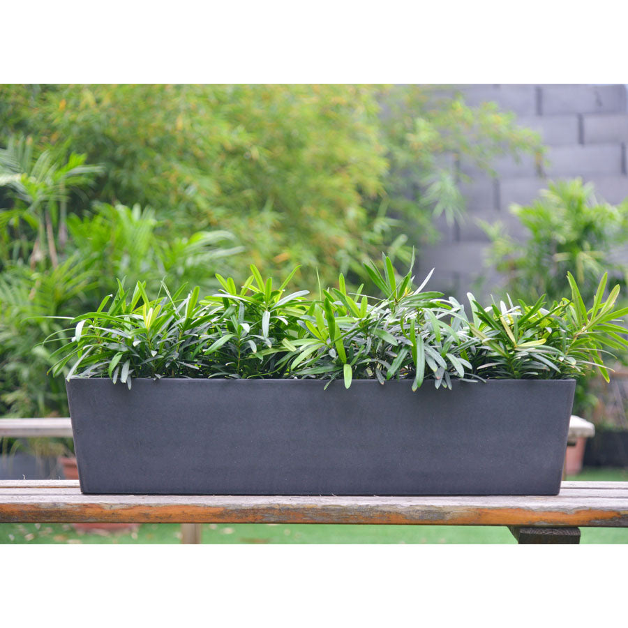 RectaFlora Pot - ...