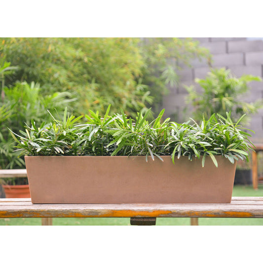 a rectangular flower pot perfect for gardening in Kuwait. Made from durable Jun porcelain clay with polymer resin infusion, it's ideal for showcasing plants indoors or outdoors. Available for order now from our online plant shop in Kuwait, complete with plants and pots for your gardening needs.