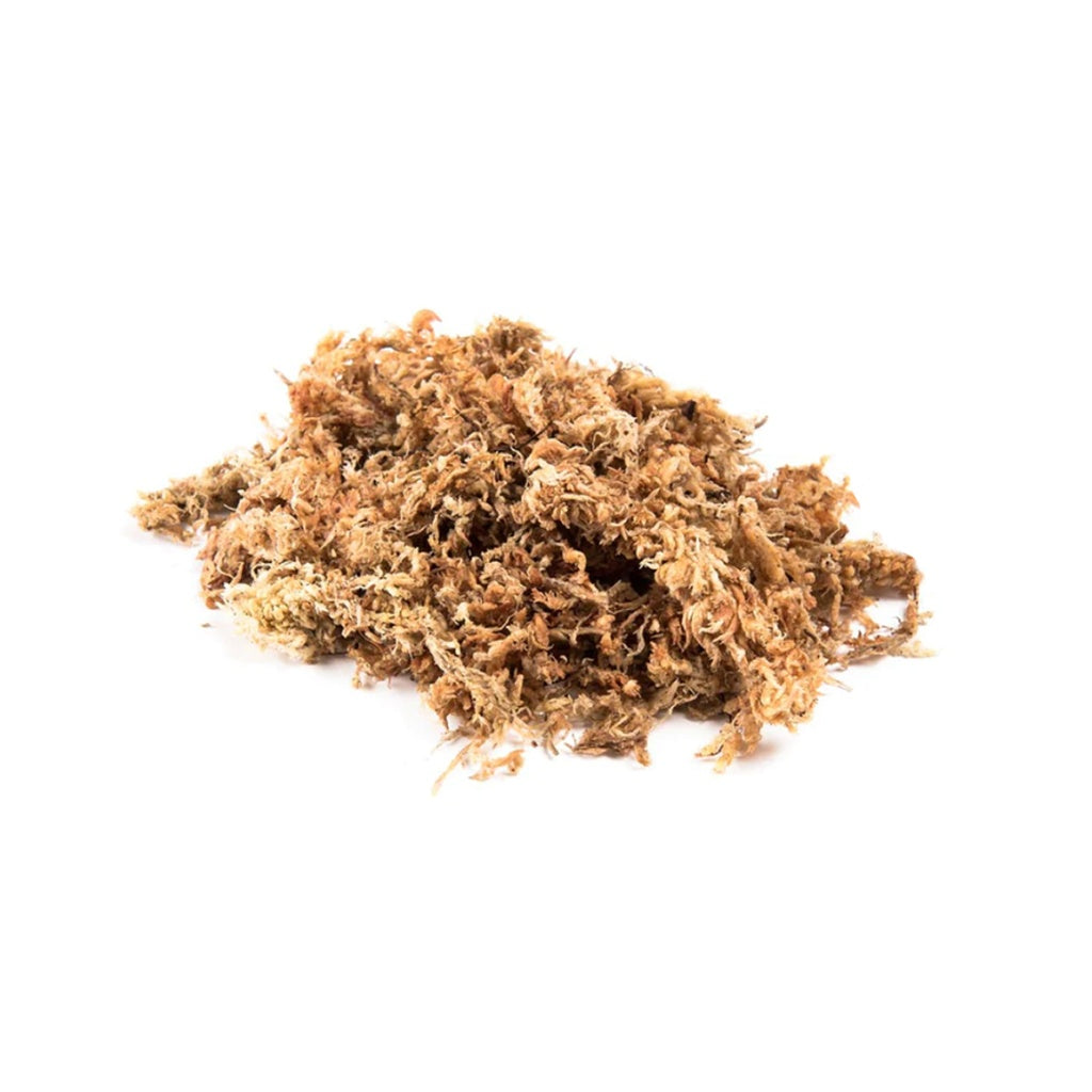 Dried Natural Sph...