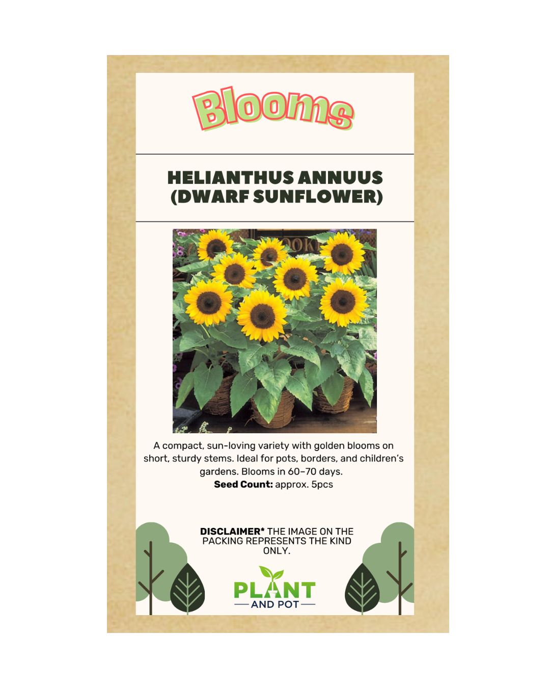 Dwarf Sunflower Seed - Flower Seeds