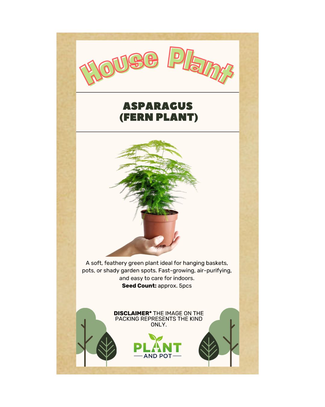 Asparagus Fern Plant Seeds