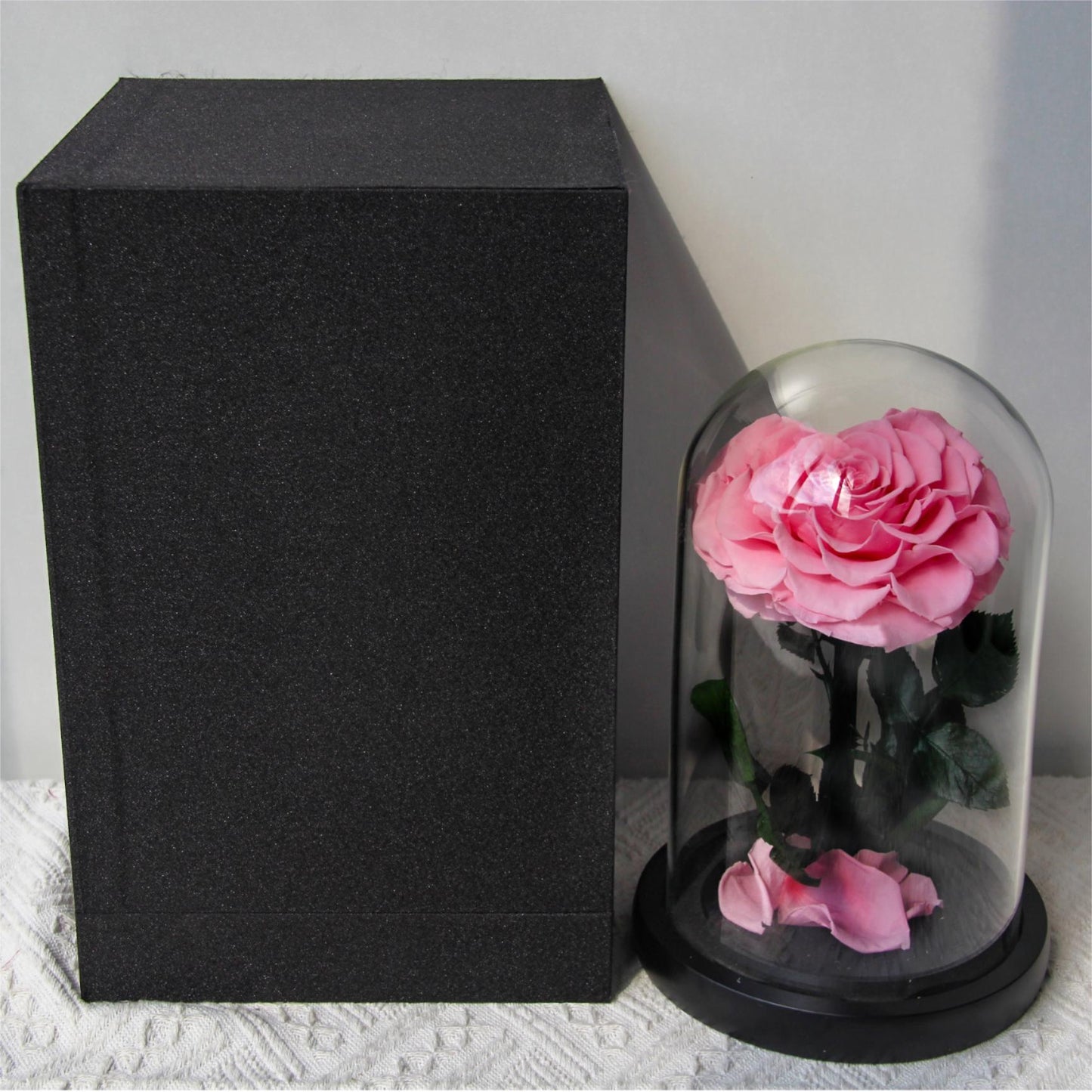 Forever Rose Dome 12cm x 20cm - الوردة الخالدة