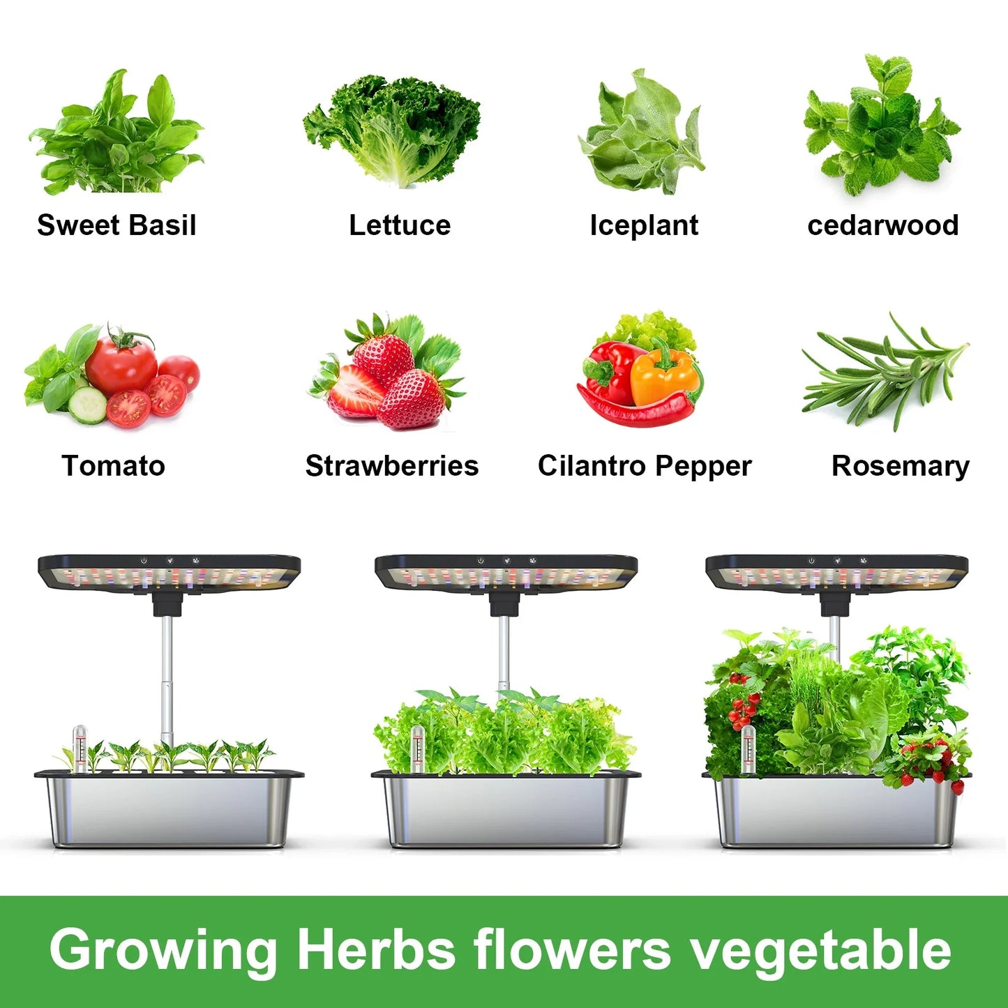 Hydroponic Indoor Growing System | 15-Pod Herb Garden Kit with LED Grow Light & Water Pump