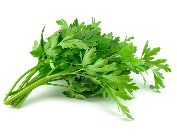 Parsley Seeds - Organic Garden Seeds - بذور البقدونس