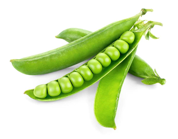 Peas Seeds - Orga...