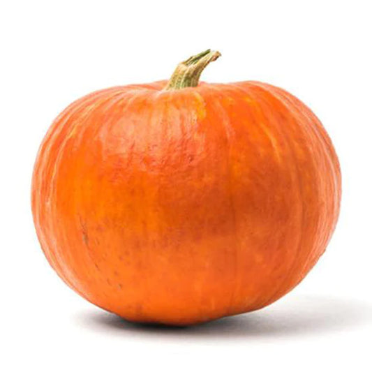 Pumpkin Halloween Seeds - Organic Garden Seeds - بذور اليقطين
