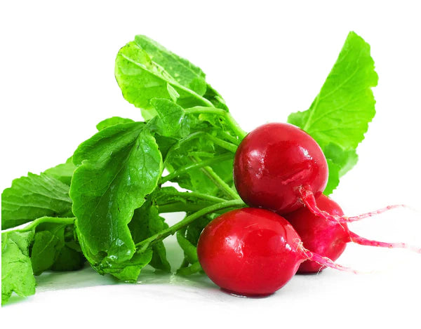 Radish Red Round Seeds - Organic Garden Seeds - بذور الفجل الأحمر