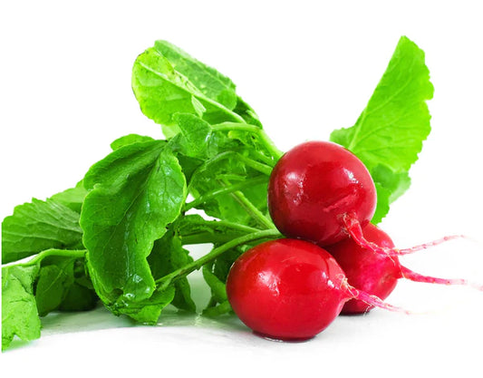 Radish Red Round Seeds - Organic Garden Seeds - بذور الفجل الأحمر