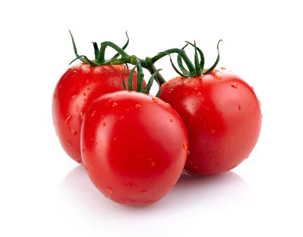 Tomato Seeds - Organic Garden Seeds - بذور الطماطم