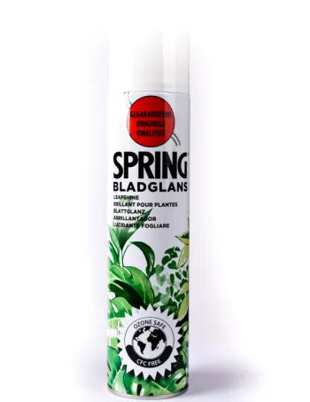 SPRING LEAF SHINE 250ML