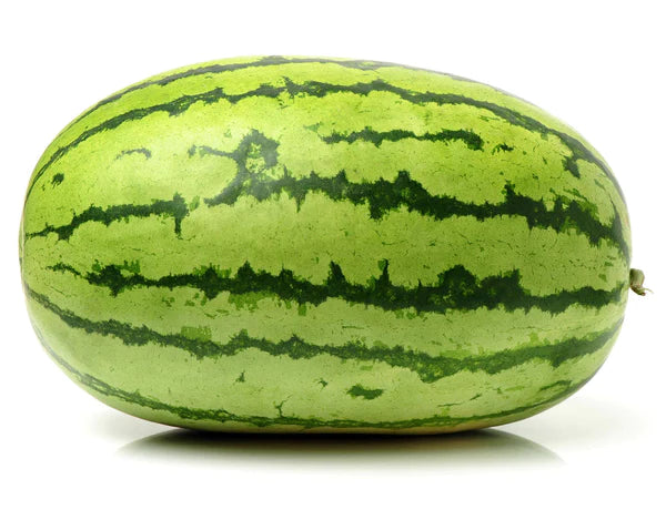 Watermelon Striped Oval Seeds - Organic Garden Seeds - بذور البطيخ