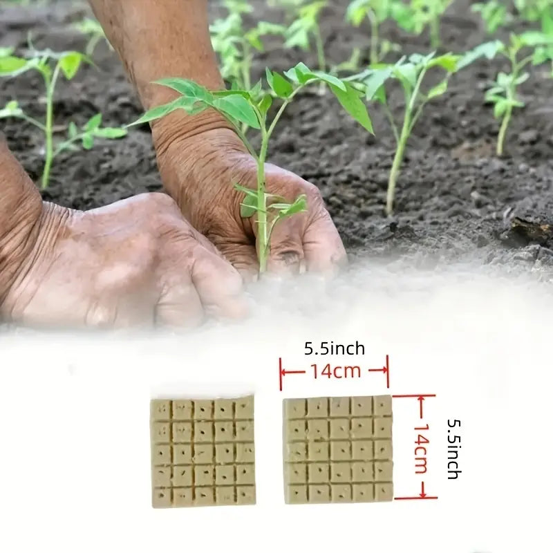 Rockwool Seeding Plug - Sheet of 50 plugs